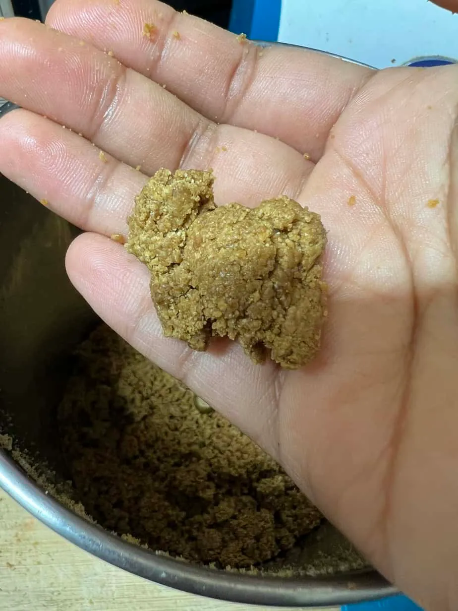 Sago/Sabudana Peanut Ladoo
